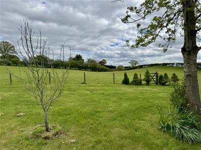 Picture 22